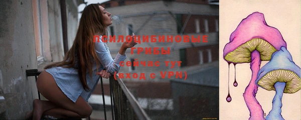 индика Иннополис