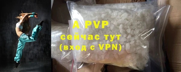 индика Иннополис