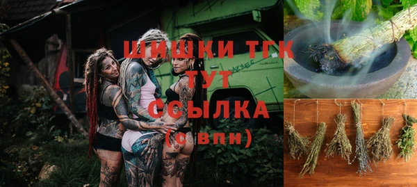 индика Иннополис