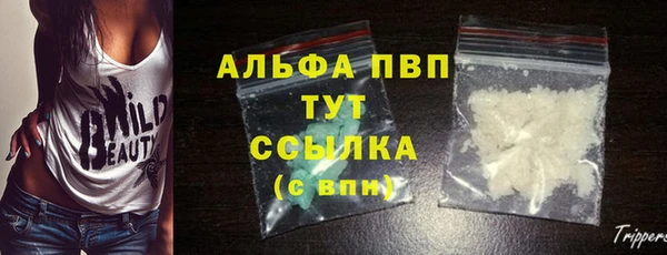 индика Иннополис